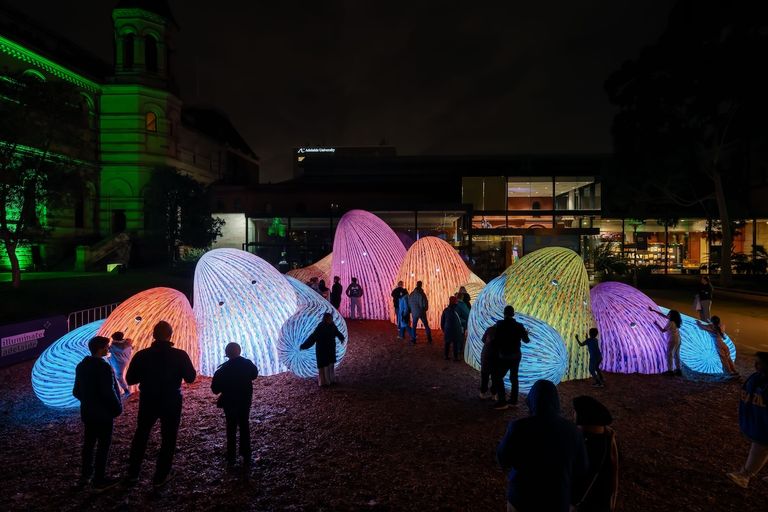 Vibrant light installation at Illuminate Adelaide featuring glowing dome structures with people exploring outdoors at night.